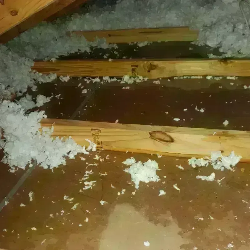 Attic Water Damage in Rossville, IL